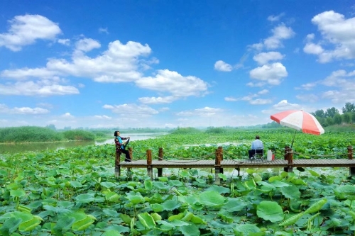 南方情調(diào)蓑衣水鄉(xiāng)